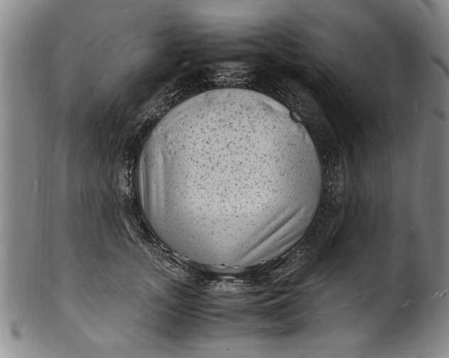 X0000101480755200807211359