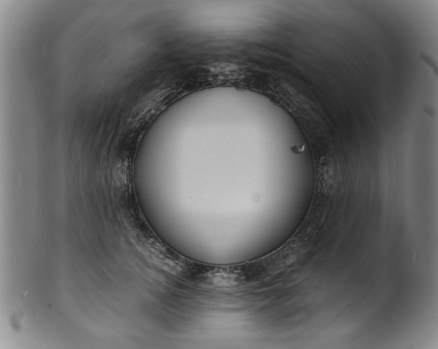 X0000101480756200807211359