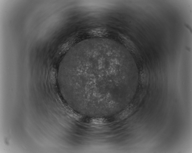 X0000101480757200807211359