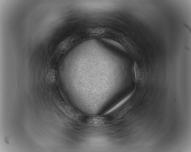 X0000101480758200807211359