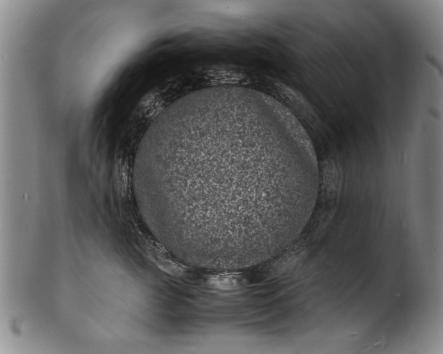 X0000101480761200807211359