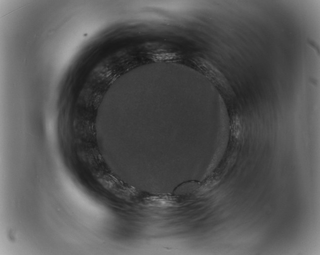 X0000101480763200807211359