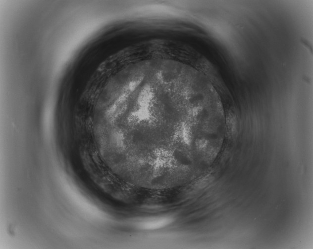 X0000101480765200807211359