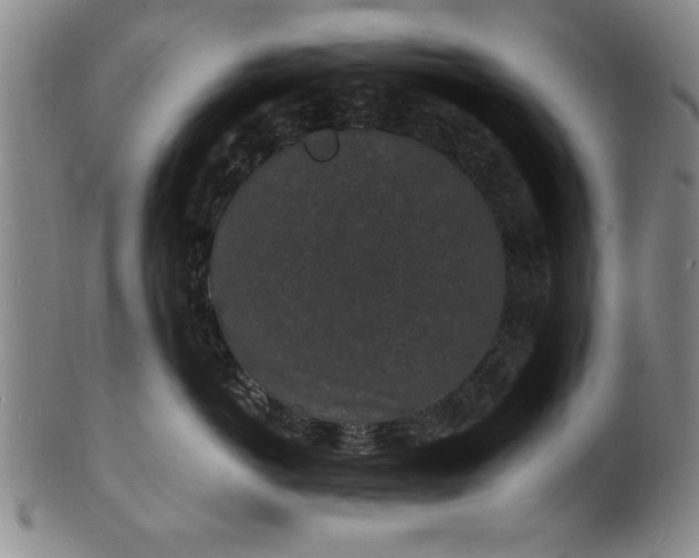 X0000101480766200807211359