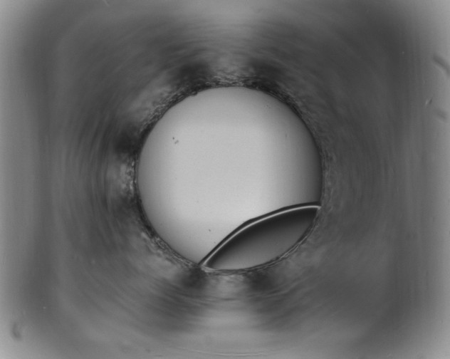 X0000101480768200807211359