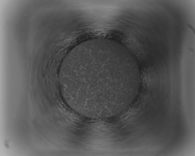 X0000101480769200807211358