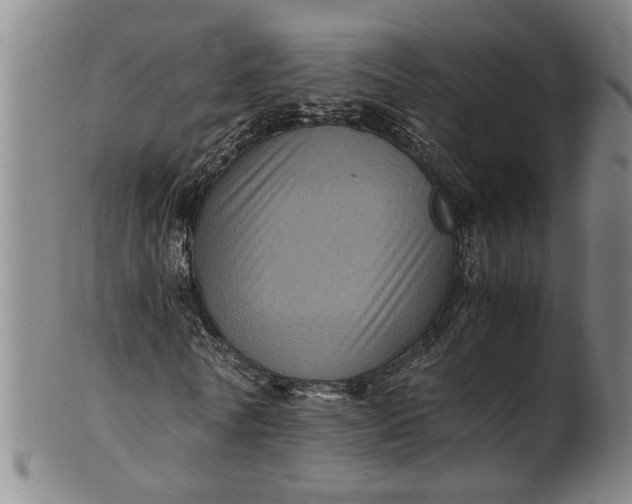 X0000101480770200807211358