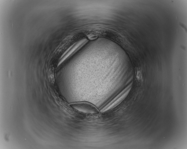 X0000101480771200807211358