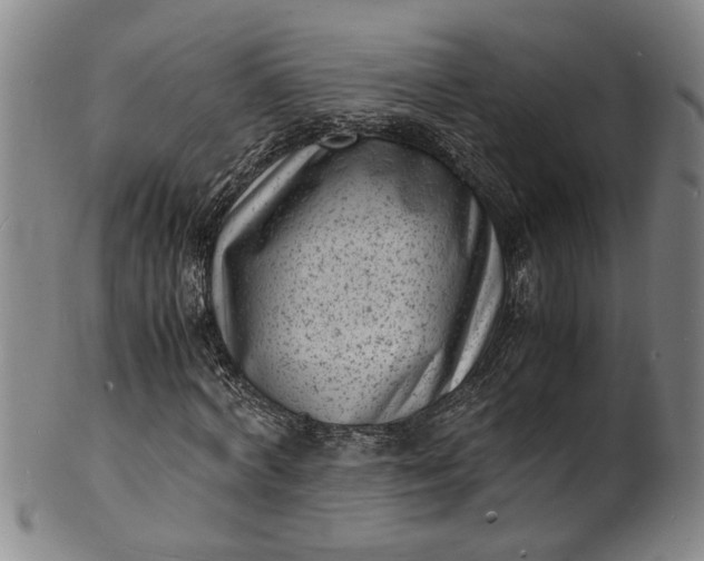 X0000101480772200807211358