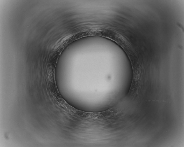 X0000101480773200807211358