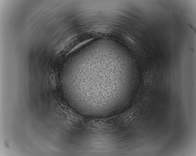 X0000101480774200807211358