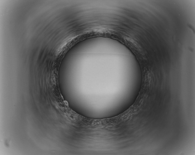 X0000101480776200807211358