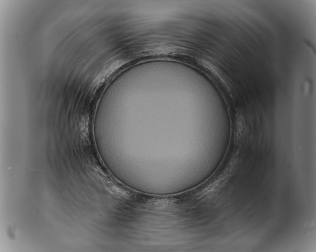 X0000101480778200807211358