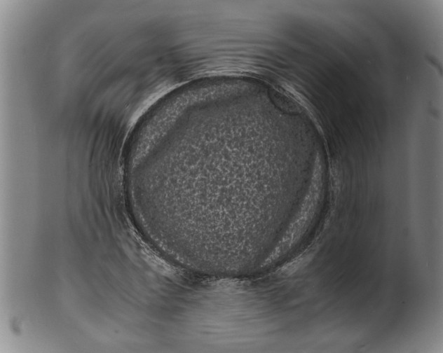 X0000101480779200807211358