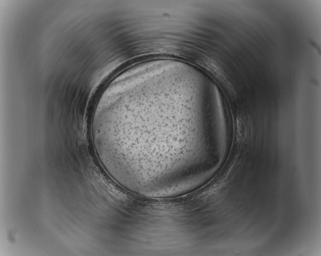 X0000101480780200807211358