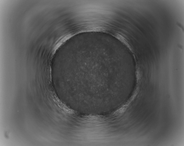 X0000101480781200807211358