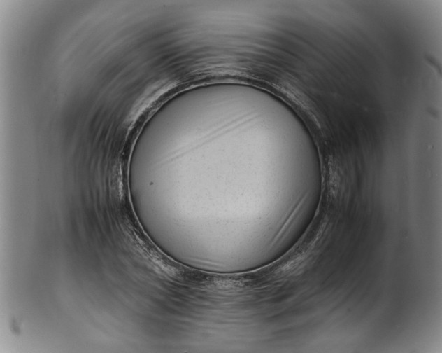 X0000101480782200807211358