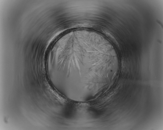 X0000101480784200807211358