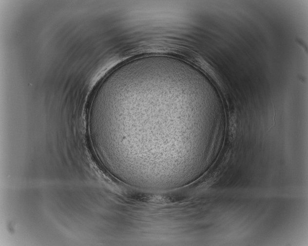 X0000101480787200807211358