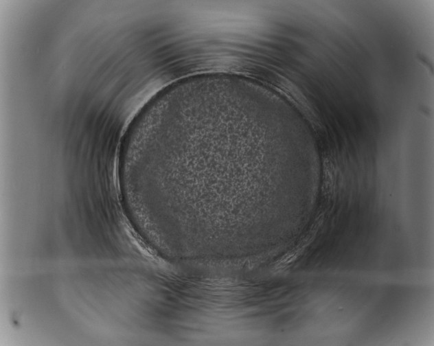 X0000101480788200807211358