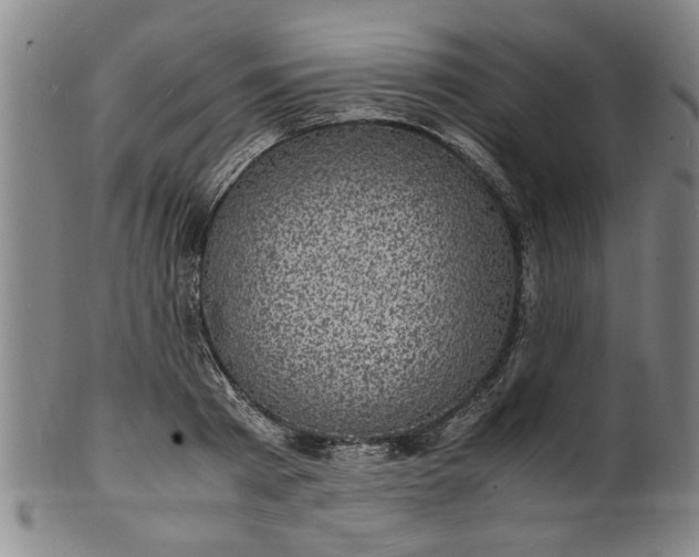 X0000101480793200807211358