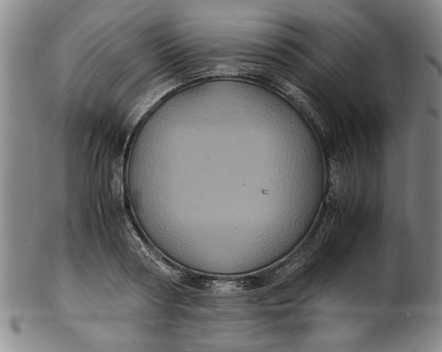 X0000101480794200807211358