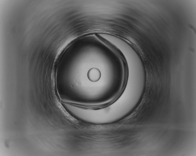 X0000101480796200807211358