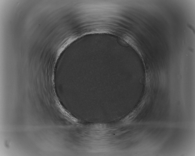 X0000101480797200807211358