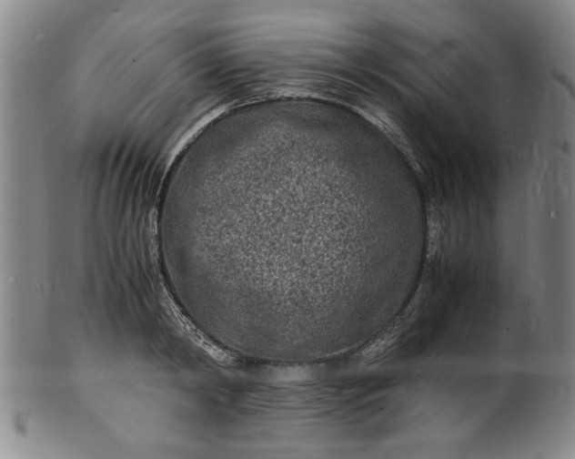 X0000101480798200807211358