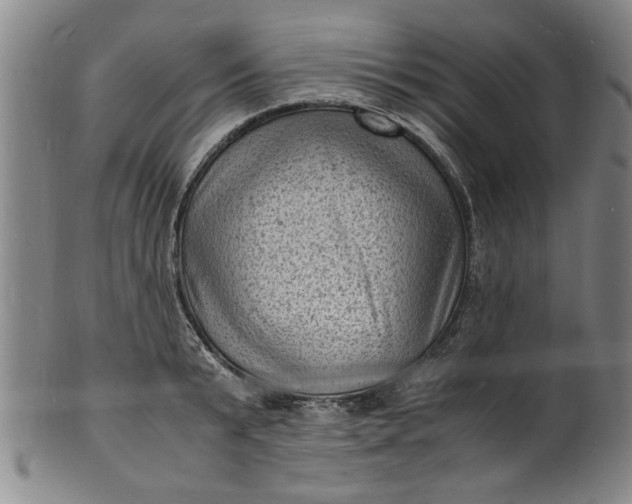 X0000101480799200807211358