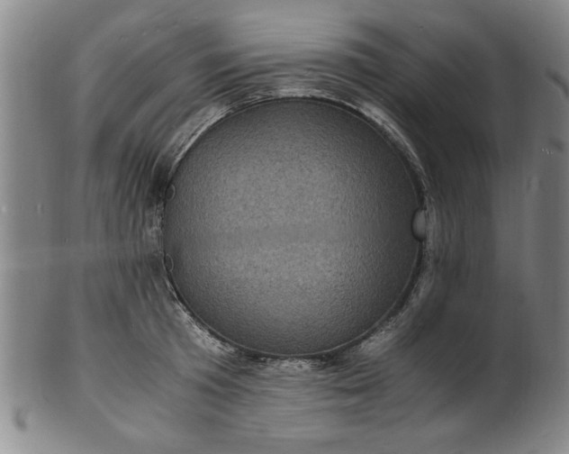 X0000101480801200807211358