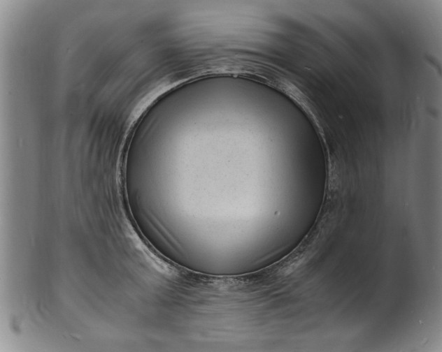 X0000101480803200807211358