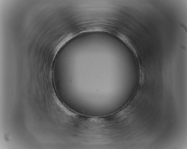 X0000101480805200807211358