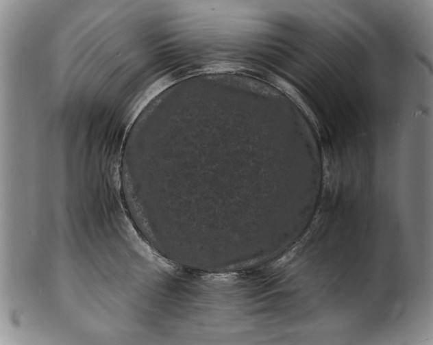 X0000101480810200807211357