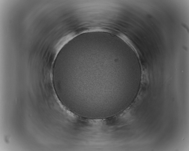 X0000101480813200807211357