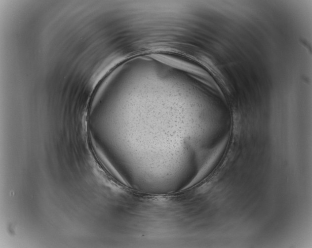 X0000101480814200807211357