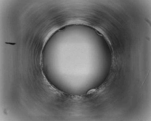 X0000101480815200807211357