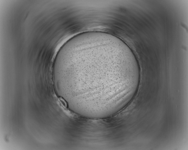 X0000101480816200807211357