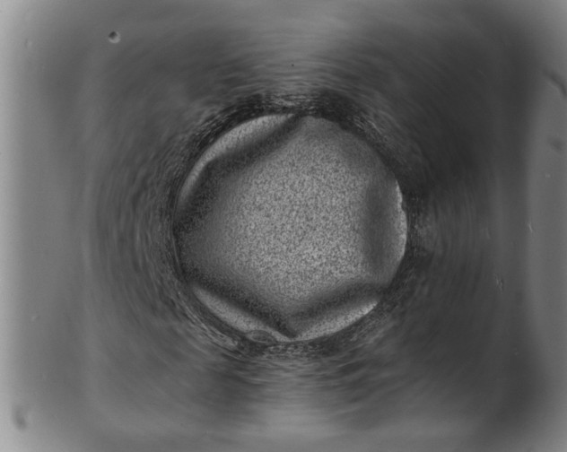 X0000101480817200807211357