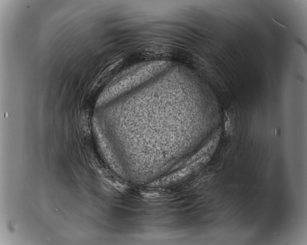 X0000101480819200807211357