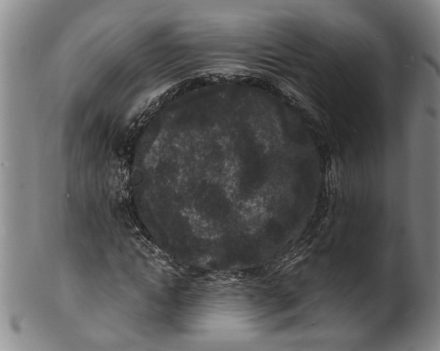 X0000101480822200807211357