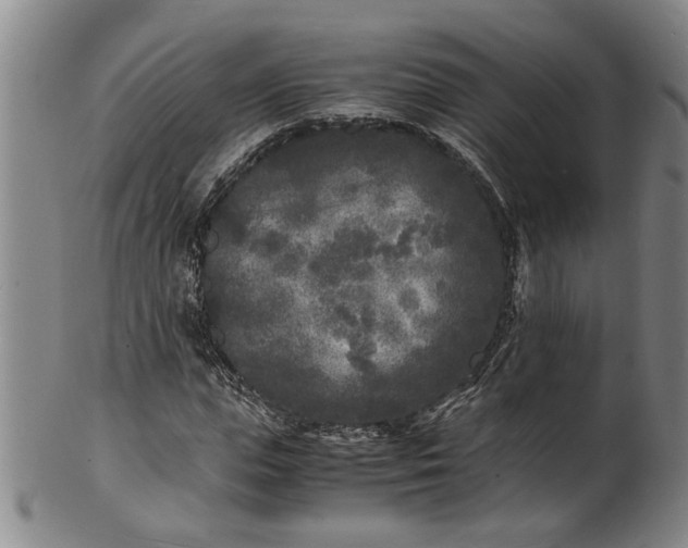 X0000101480823200807211357