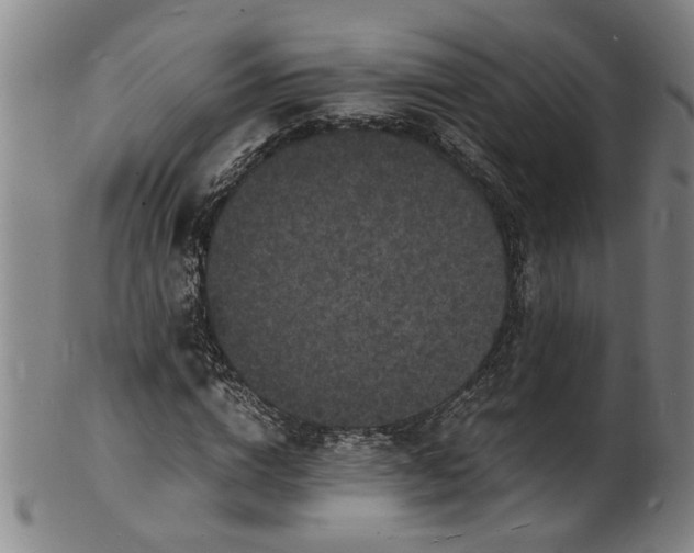 X0000101480824200807211357