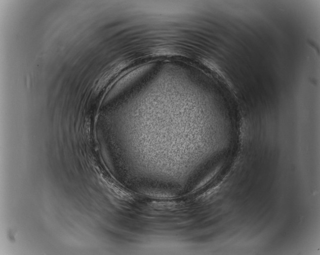 X0000101480825200807211357