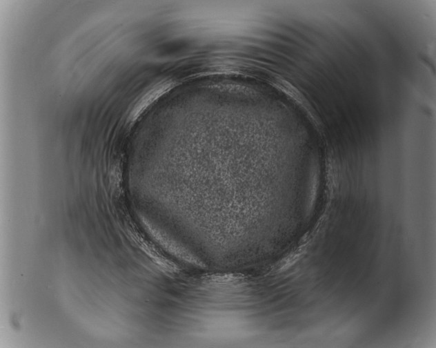 X0000101480826200807211357