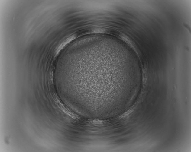 X0000101480827200807211357