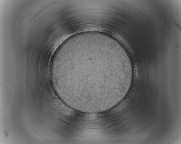 X0000101480828200807211357