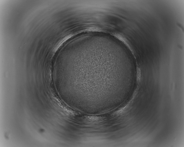 X0000101480829200807211357