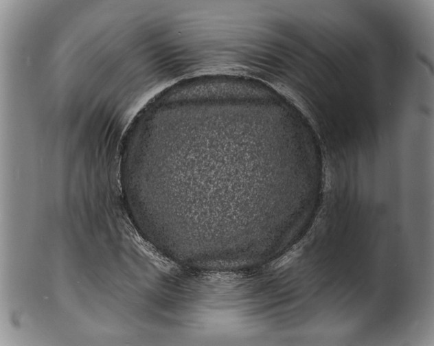 X0000101480830200807211357