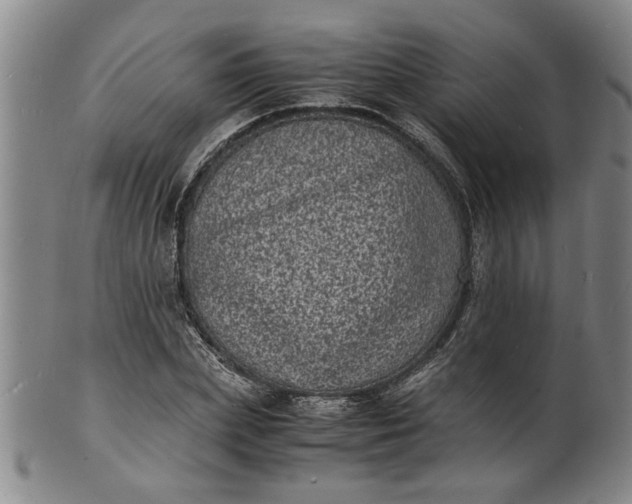 X0000101480831200807211357